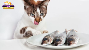 Các trường hợp “hiếm” và giải mã sâu về mơ thấy mèo ăn cá