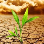 Chiến Lược Để Có Một Khởi Đầu Mới Hiệu Quả