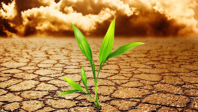 Chiến Lược Để Có Một Khởi Đầu Mới Hiệu Quả