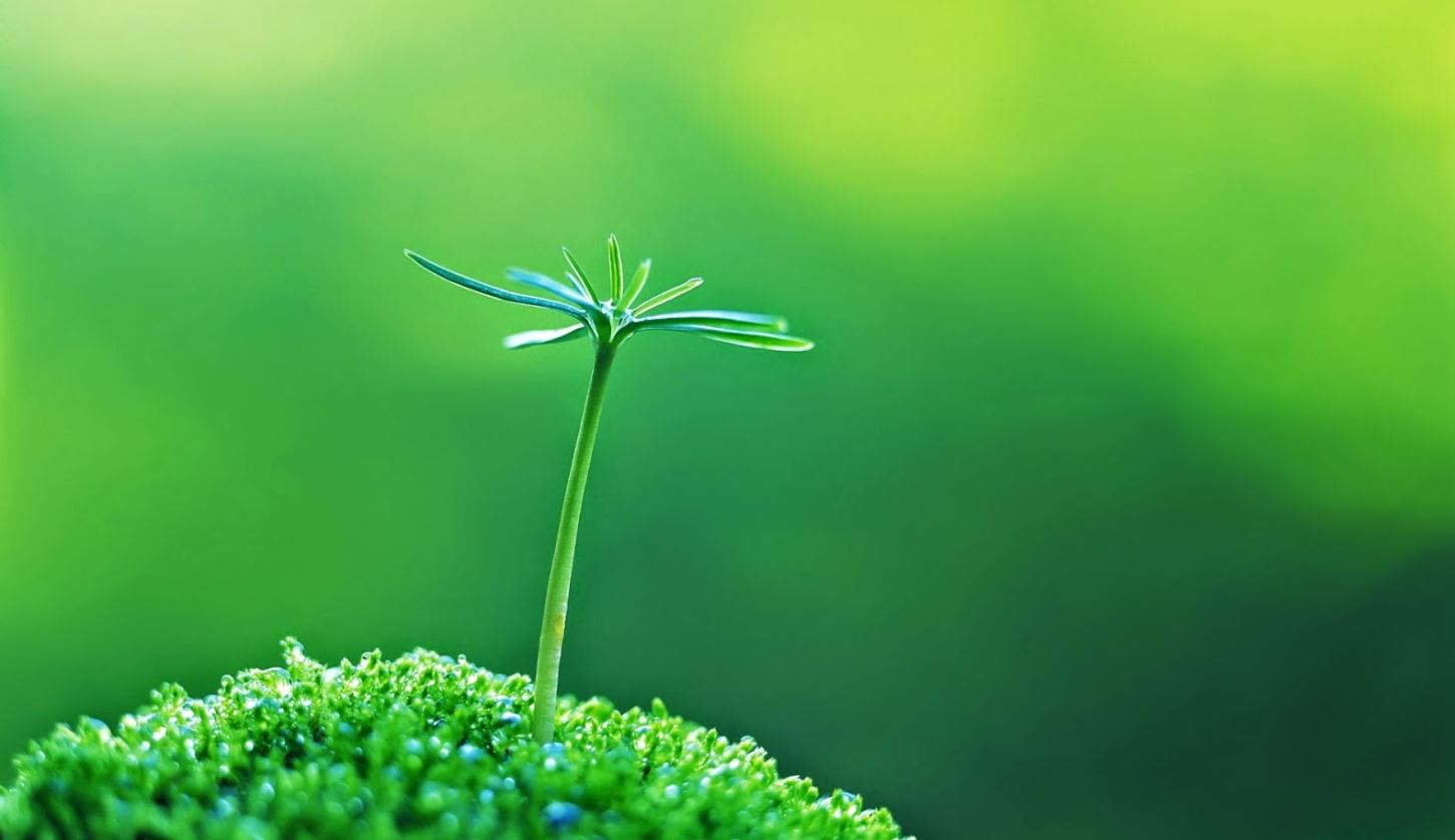 Cơ Chế Não Bộ Và Thói Quen Khi Đối Diện Khởi Đầu Mới