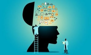 Yếu Tố Tác Động Và Cách Rèn Luyện Sự Thích Nghi, Linh Hoạt